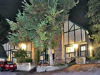 Lake Arrowhead Condo.
